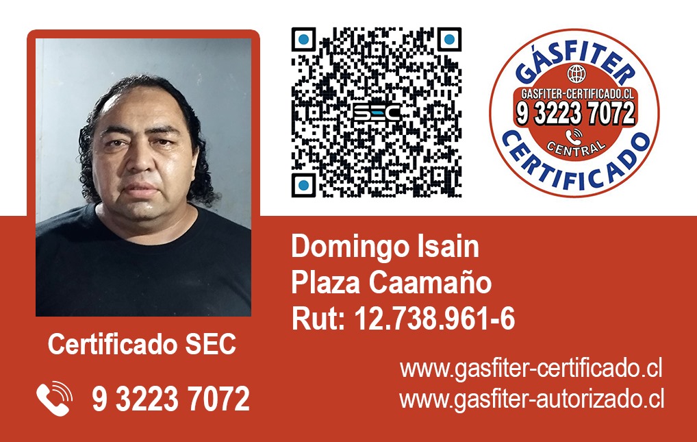 Domingo Isain Gasfiter Certificado Autorizado SEC 